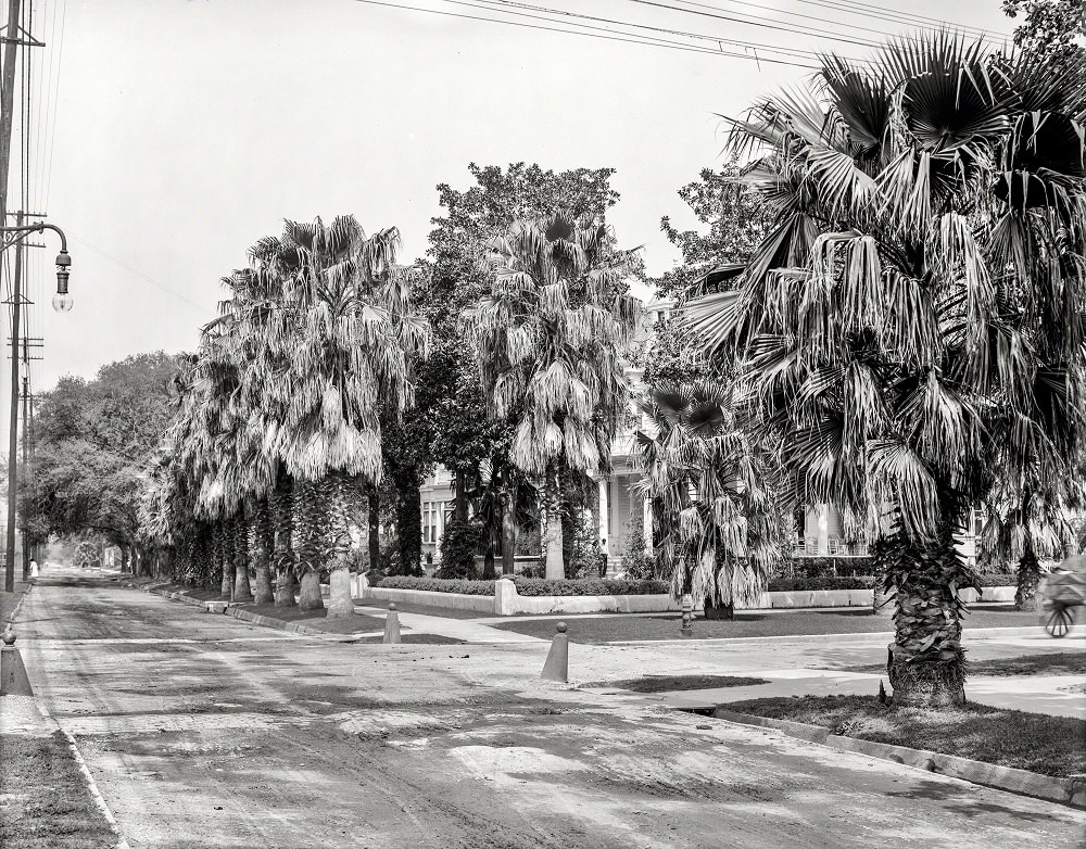 St. Charles Avenue, New Orleans, Louisiana, 1910