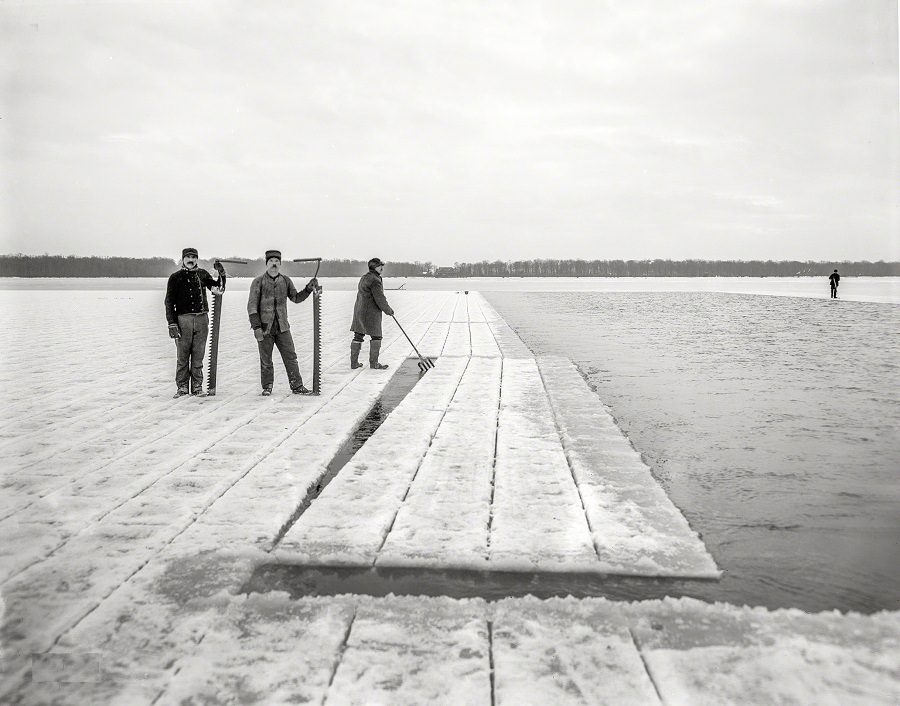 Ice harvesting on Horn Pond, Boston, 1906