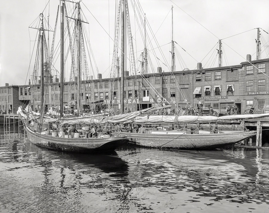 Fisher schooners at 'T' wharf, Boston, 1904