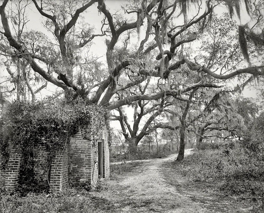 Chicora Park, Charleston, South Carolina, 1901