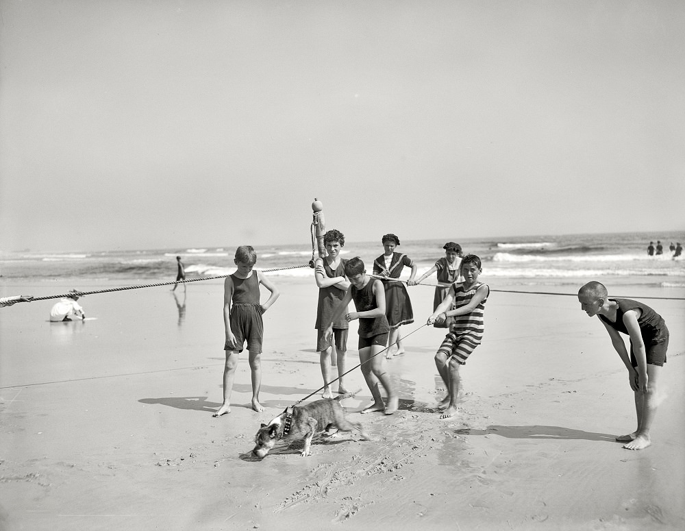 Bulldog on the beach, Coney Island, New York circa 1905