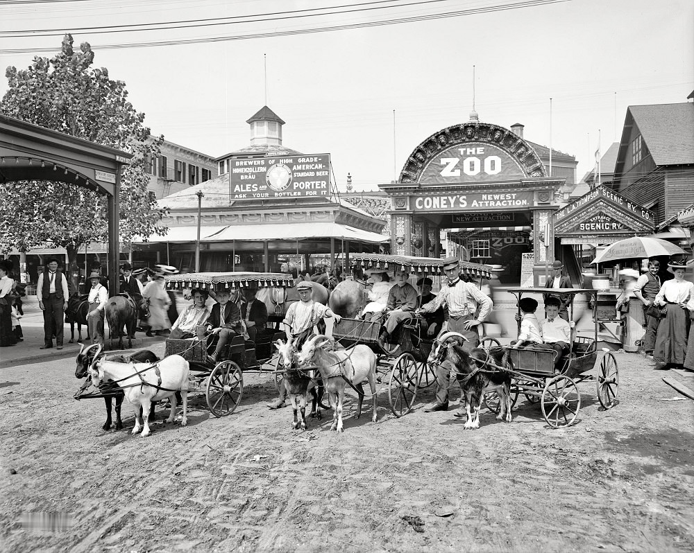 A kecske kocsik, Coney Island, New York, 1904 körül