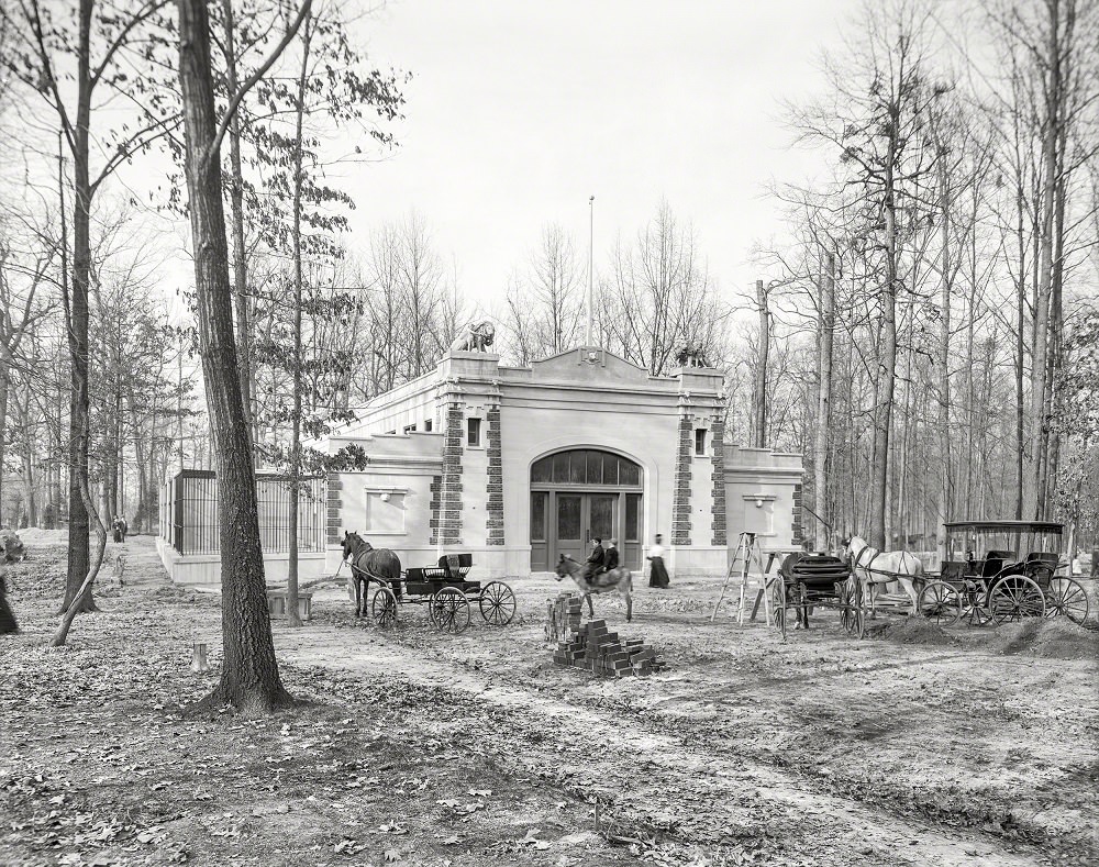 Lion house, Carnivora Building, Overton Park Zoo, Memphis, 1910