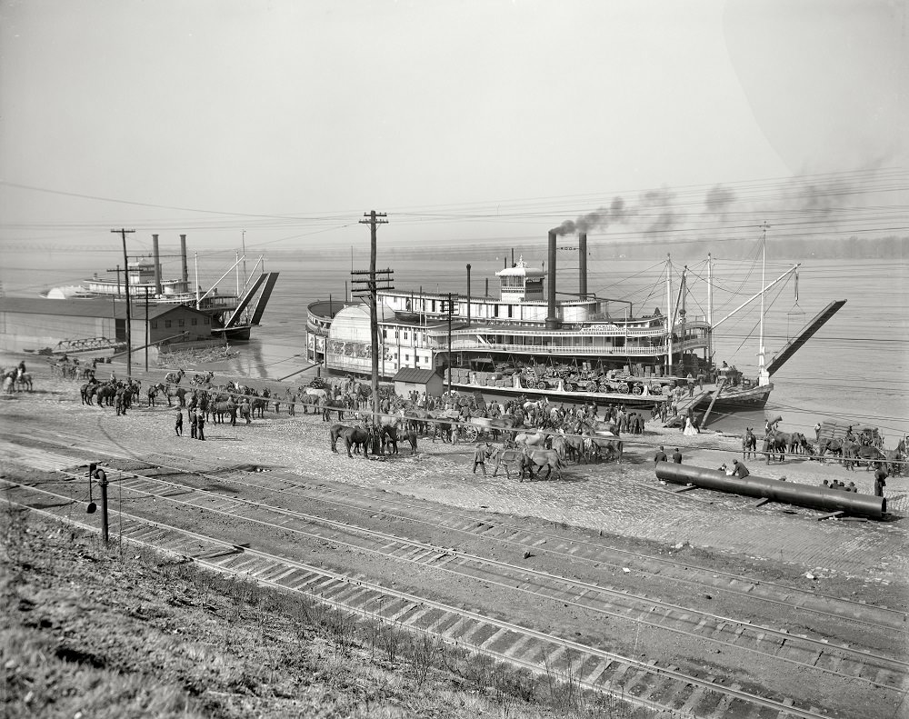 The levee at Memphis, 1900