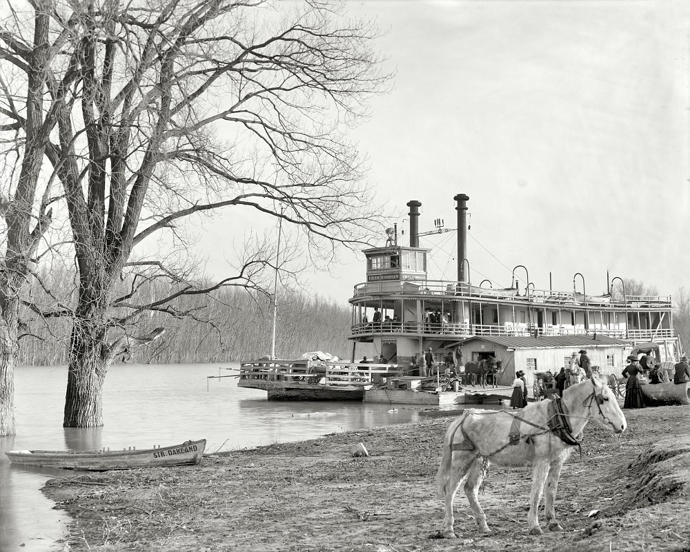 River packet Charles H. Organ landing at Mound City, Memphis, Tennessee, circa 1910