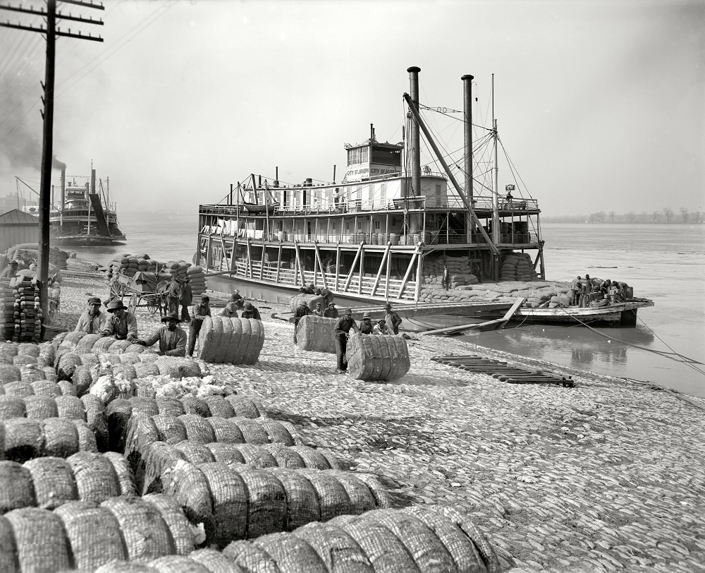 Unloading cotton, Memphis, Tennessee, circa 1910