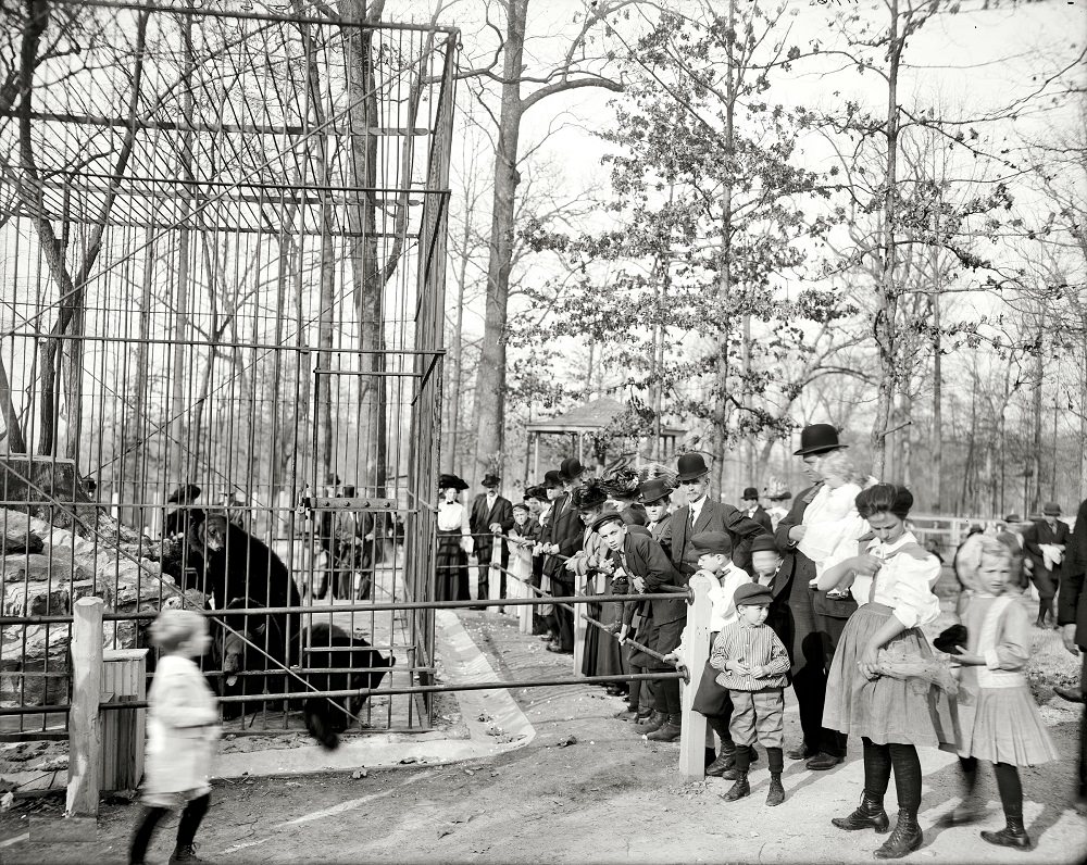 The bear pits, Memphis, 1910