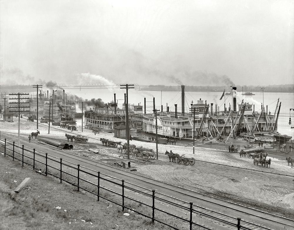 Mississippi River levee from the bluff, Memphis, June 1938