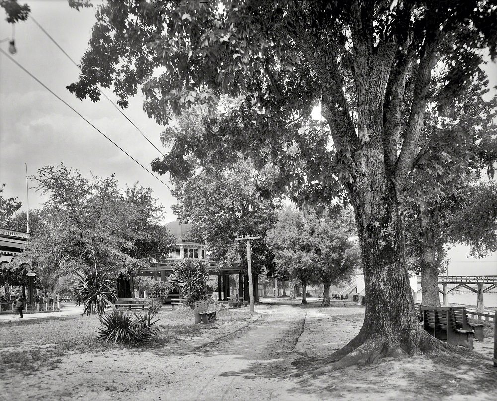 A pretty bit of Monroe Park, Mobile, Alabama, circa 1910