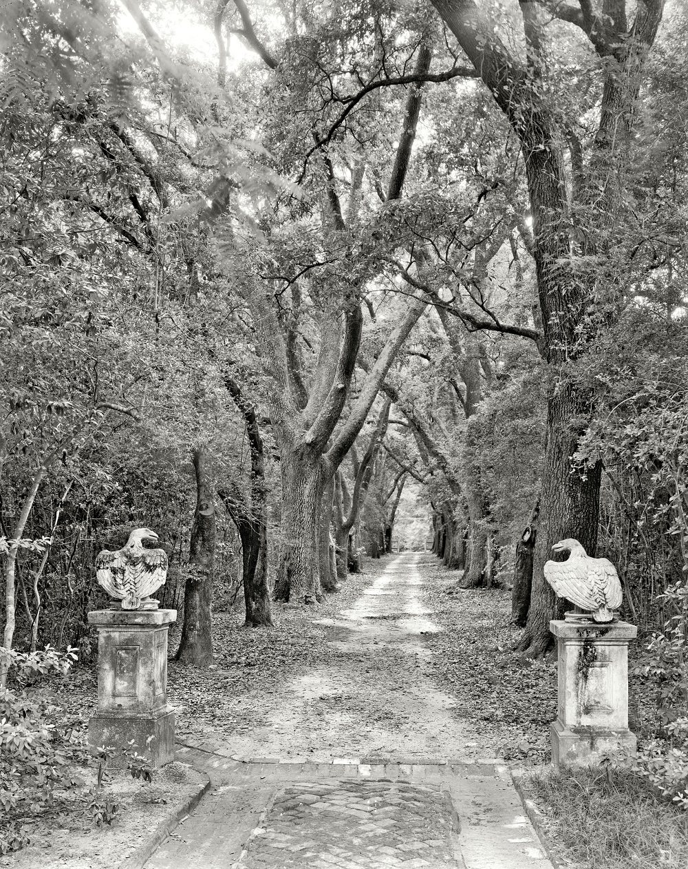 Driveway looking away from William A. Dawson House, Mobile, Alabama, 1939