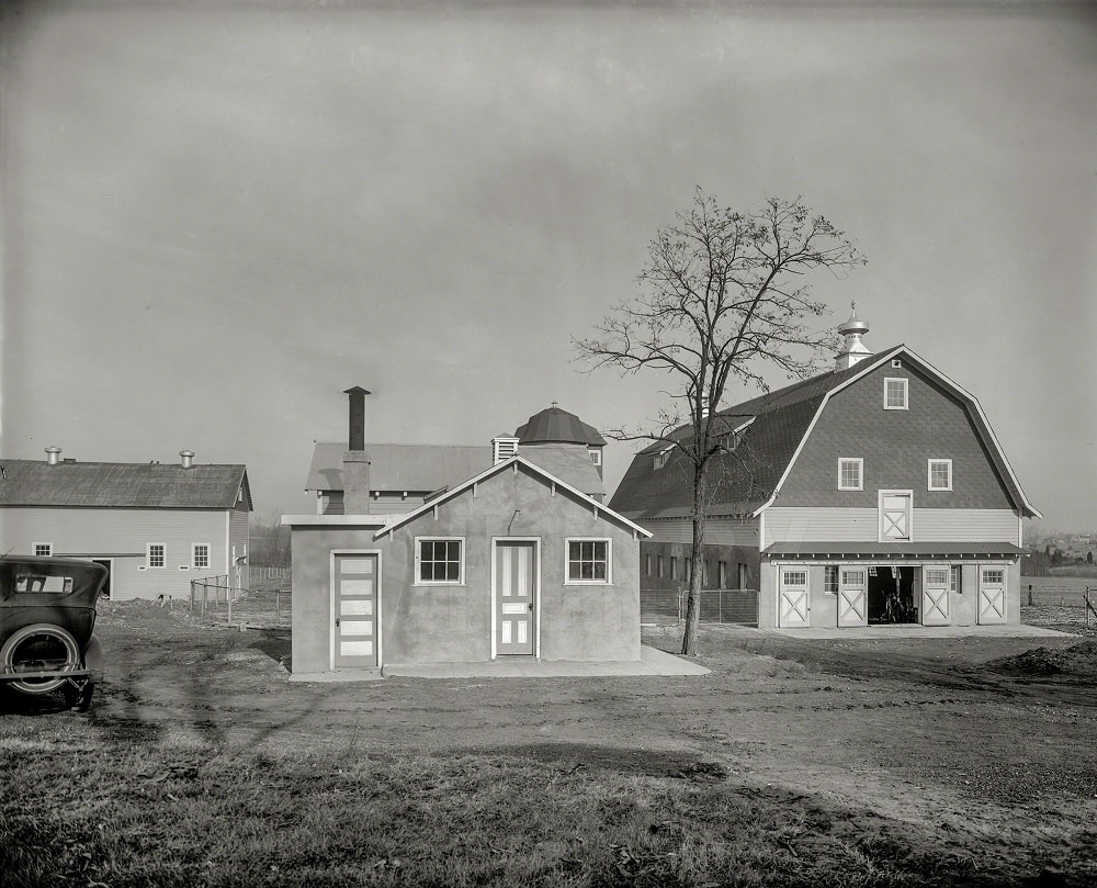 Chestnut Farms Sanitary Dairy, Philadelphia, 1925