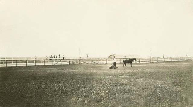 William Hale competing in a roping contest when he was a cowboy.