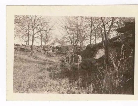 The ravine where Anna Brown's body was found. – Bygonely