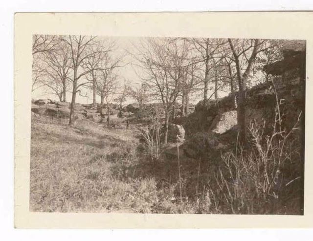 The ravine where Anna Brown's body was found.