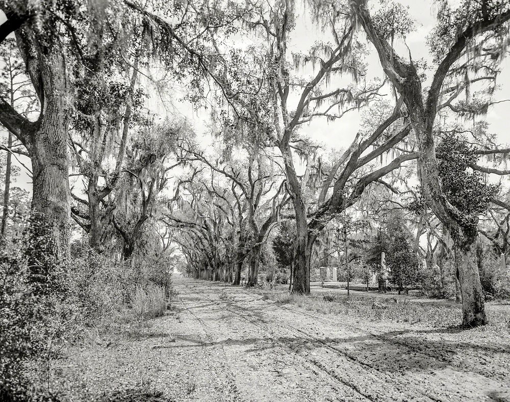 Bonaventure Cemetery, Savannah, Georgia, 1901