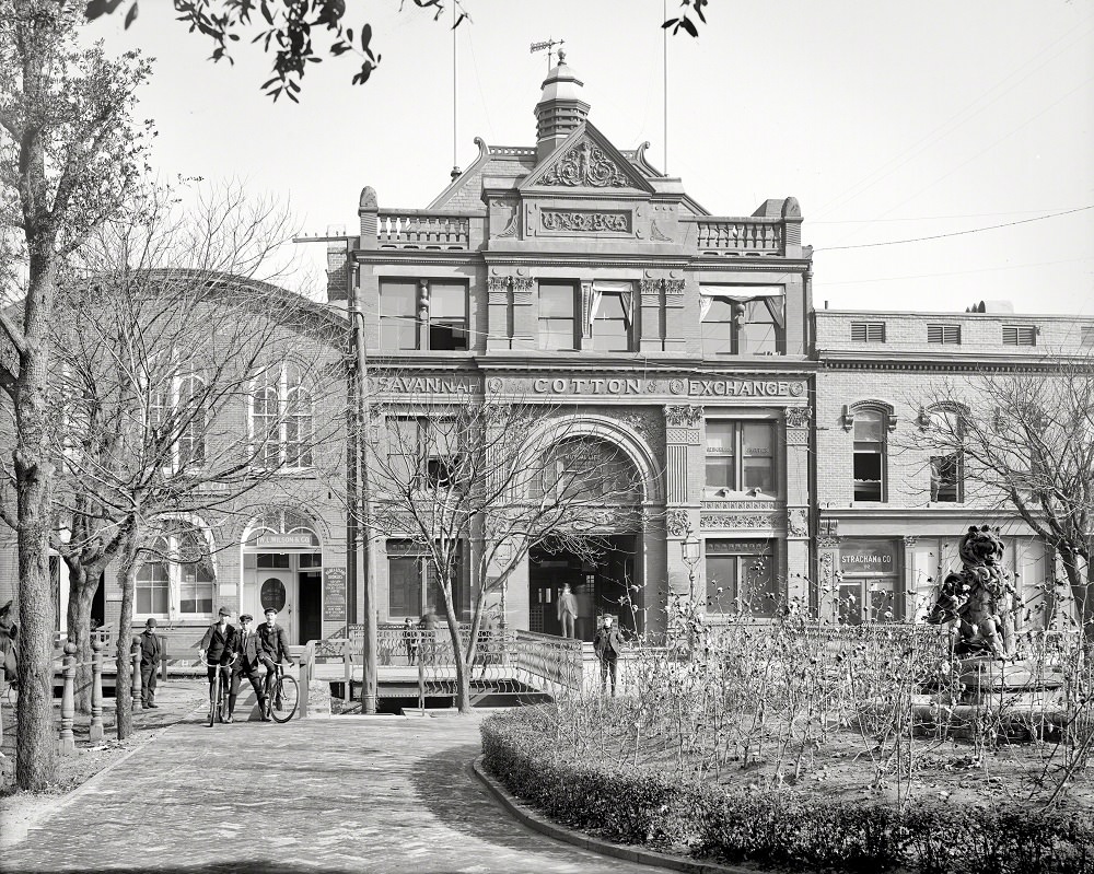 Note cotton-themed fountain landscaping and juvenile welcoming committee, Savannah Cotton Exchange, 1904