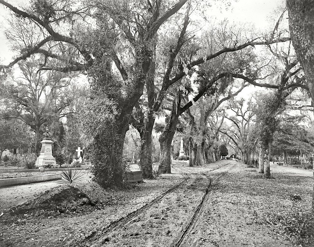 Bonaventure Cemetery, Savannah, 1901