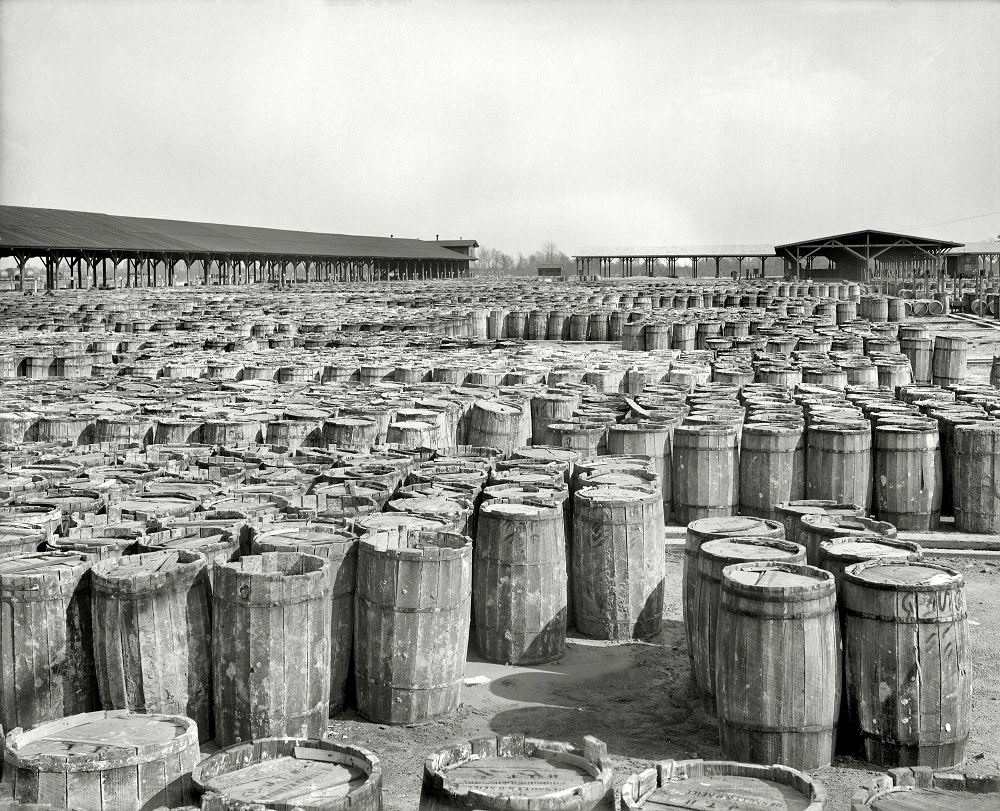 Naval stores, Chesnutt & O'Neill, Savannah, 1904