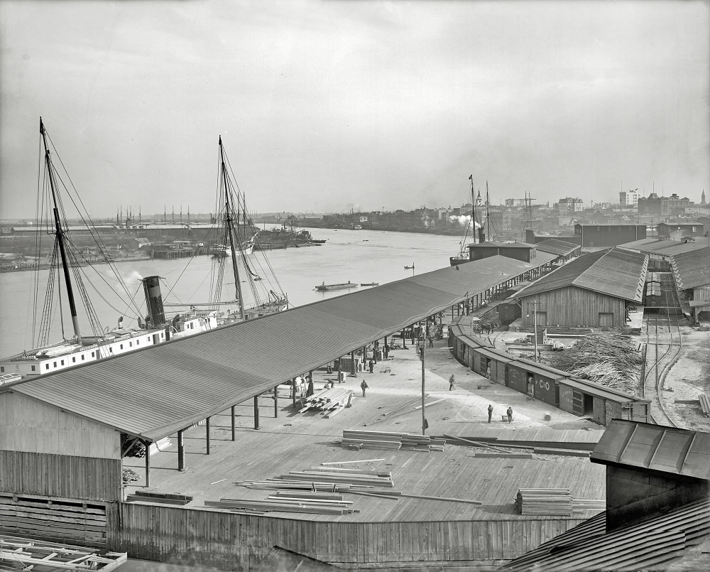 Down the river, Savannah, Georgia, 1906