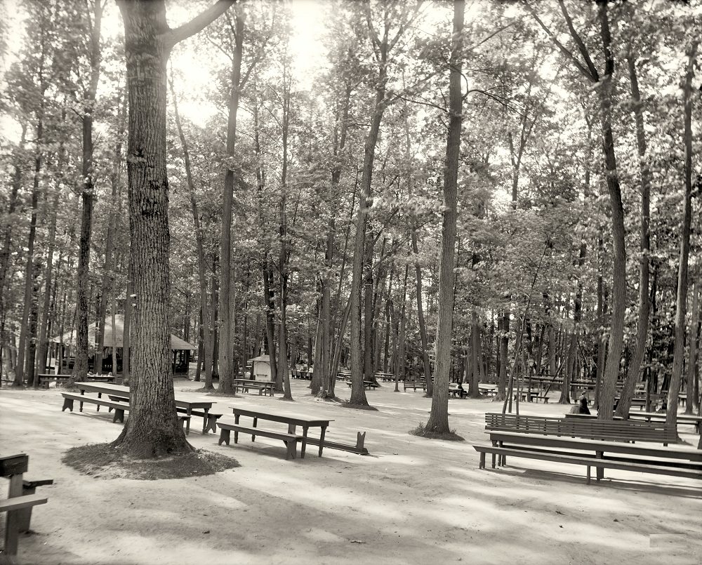 Picnic grounds, Long Branch Park, Syracuse, 1905