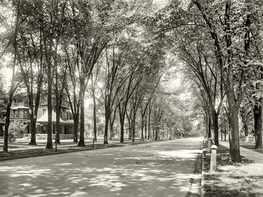 West Genesee Street, Syracuse, N.Y., circa 1900