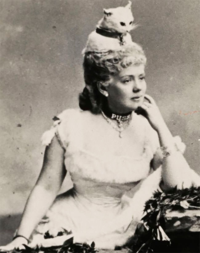 Victorian Taxidermy Animal Hats: Photos Of Victorian Women Wearing Taxidermy Hats