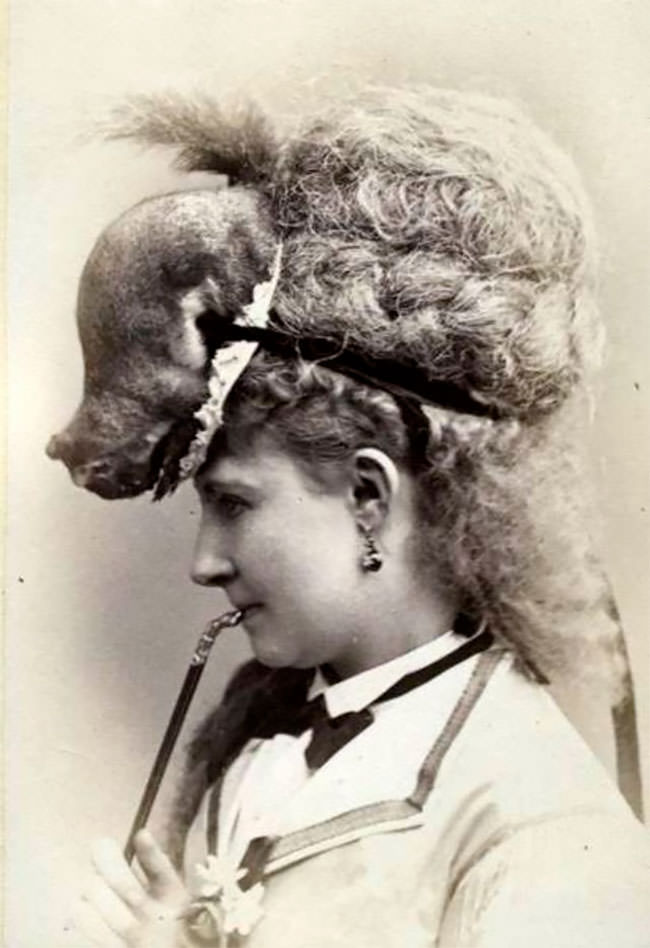 Victorian Taxidermy Animal Hats: Photos Of Victorian Women Wearing Taxidermy Hats