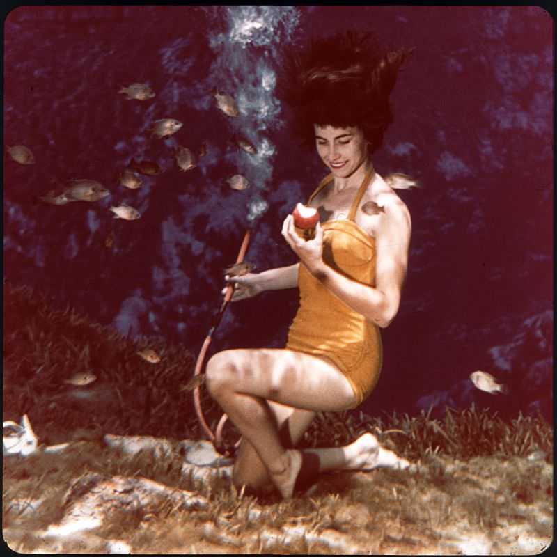 Weeki Wachee