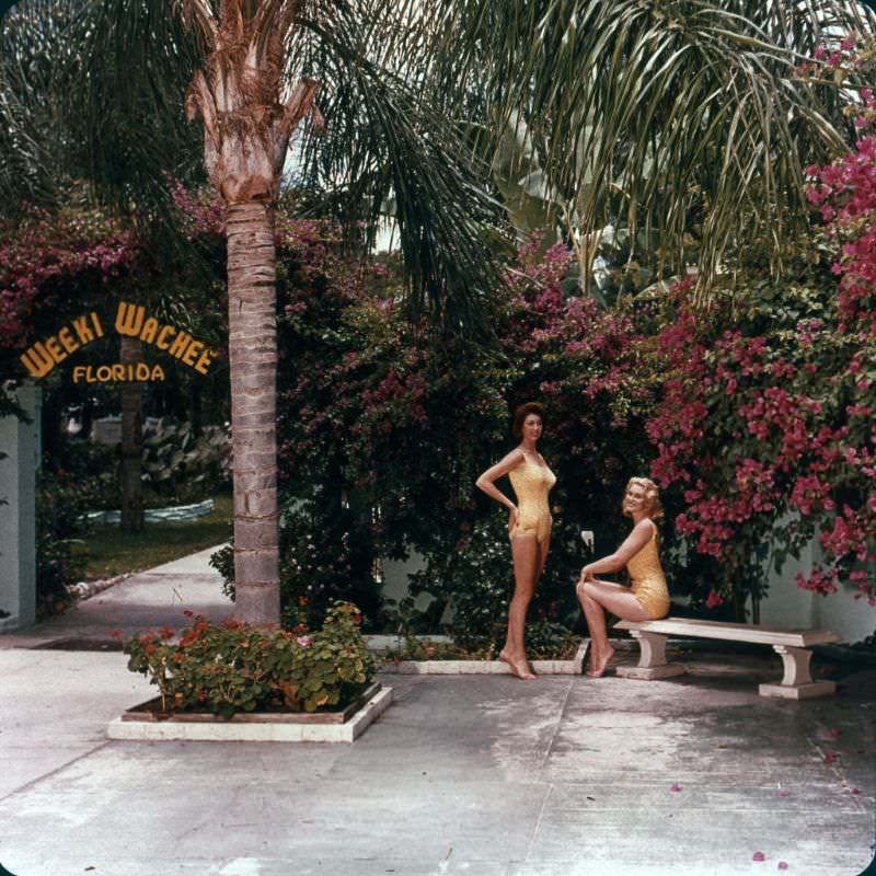 Colorful Patio (Weeki Wachee)