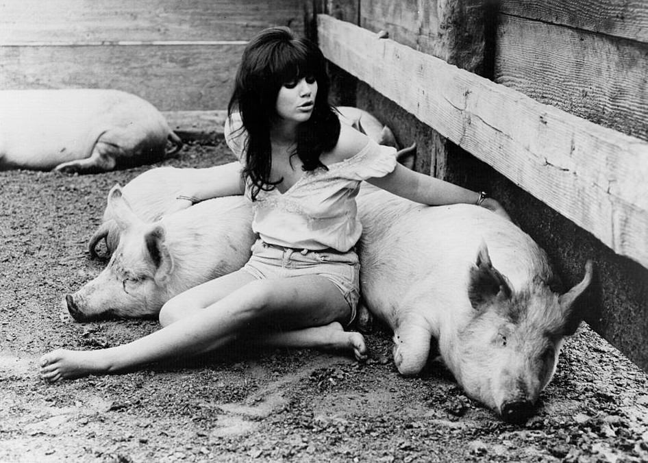 Linda Ronstadt in a pig ranch, 1970. 
