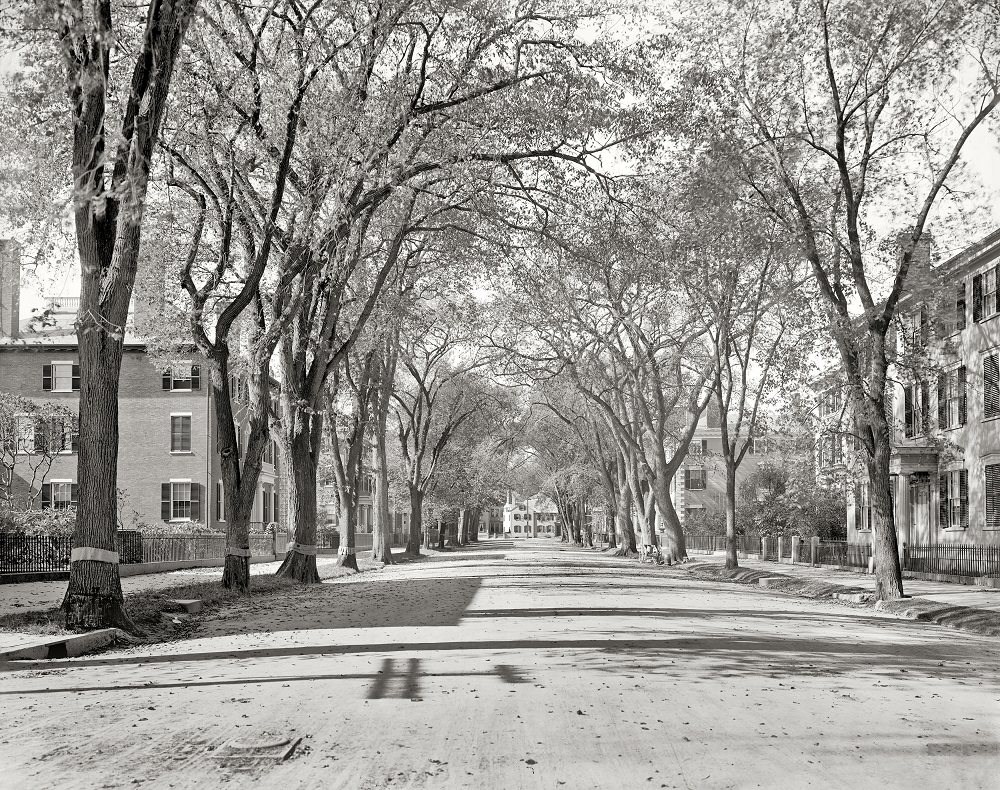 Chestnut Street, Salem, Massachusetts, circa 1906