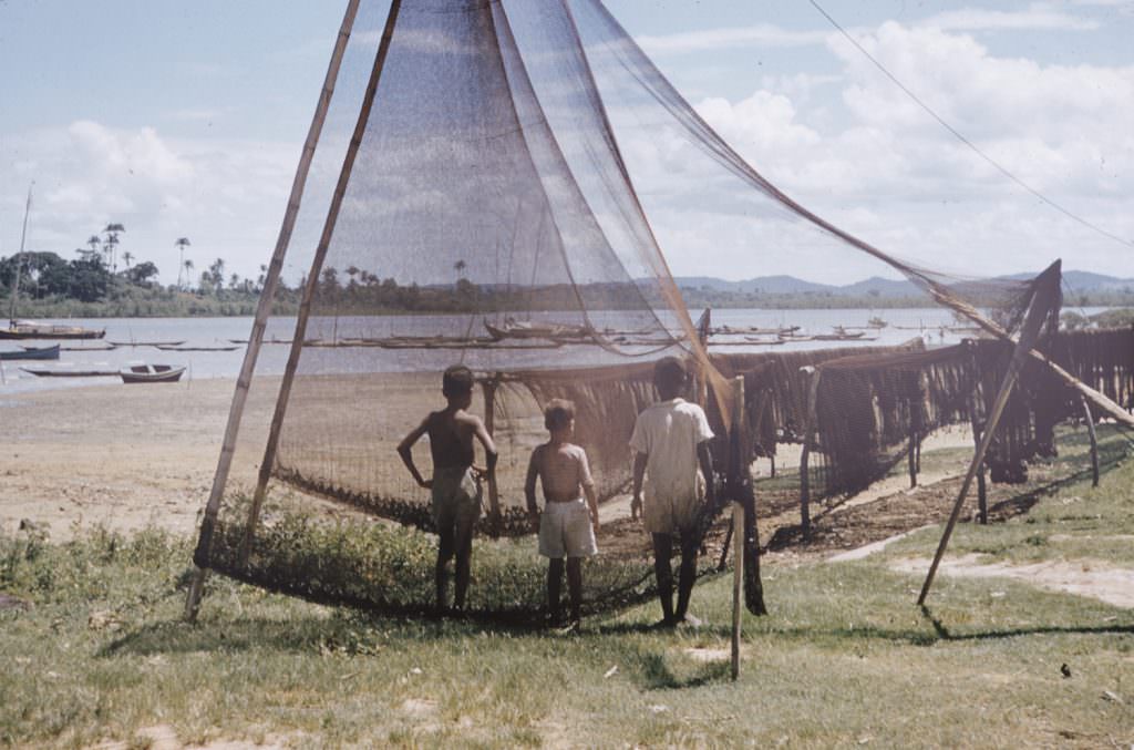 Boys stand among fishing nets, Brazil, 1950s