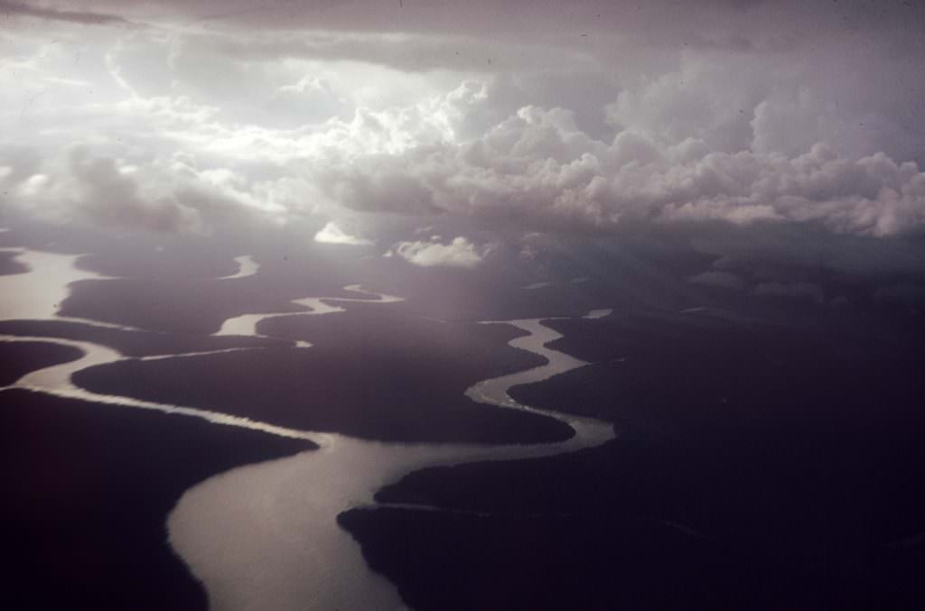 The basin of the Amazon river, 1950s