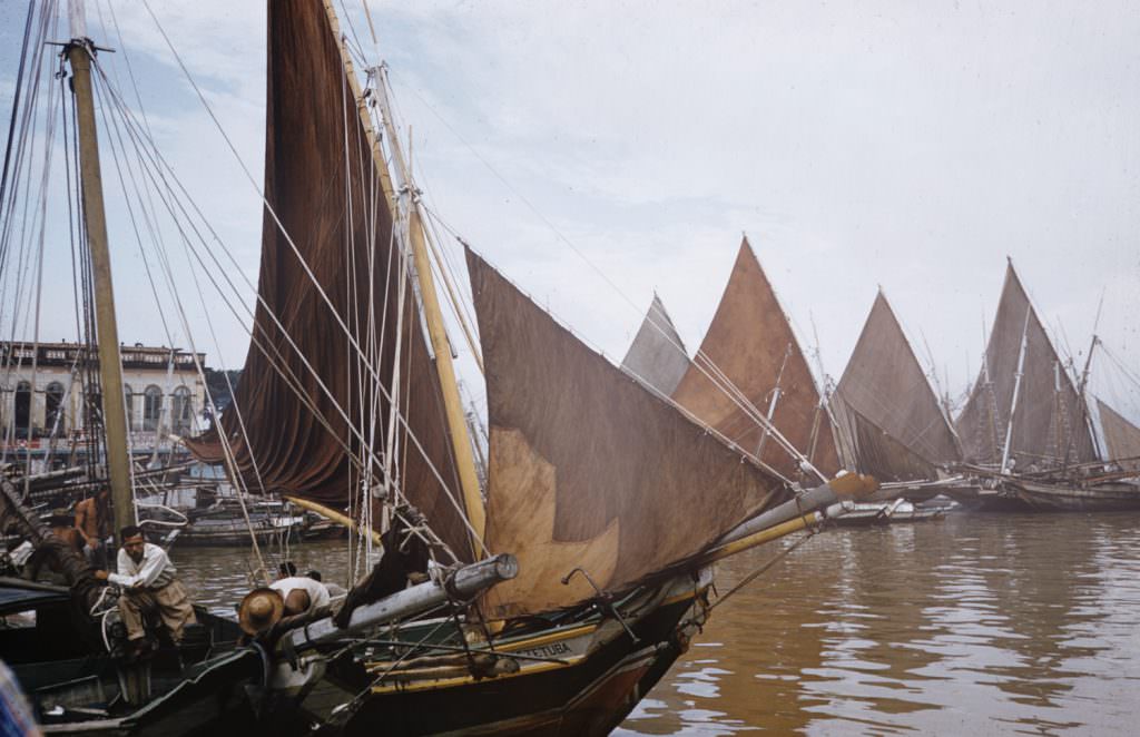 Sailboats, Brazil, 1957