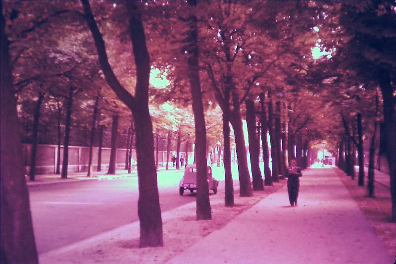 Avenue Marigny, Aug. 7, 1955