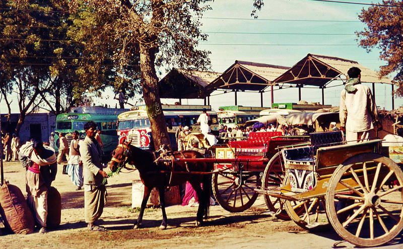 Tongas for hire at a bus station, Okara