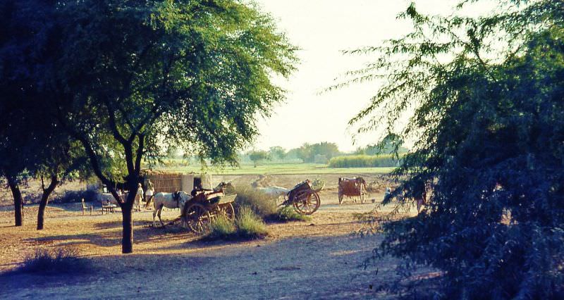 Bhoe Asal, Kasur, 1960s