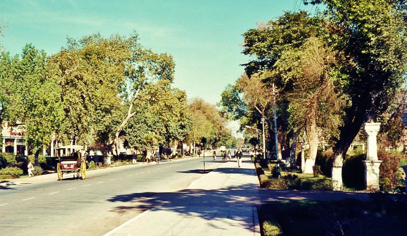 The leafy streets and houses for the wealthy, Peshawar, 1960s