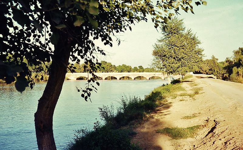 One of the large irrigation canals of the region, Sahiwal, 1960s