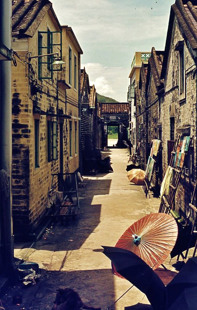 Kat Hing Wai Walled Village, Hong Kong, 1970s