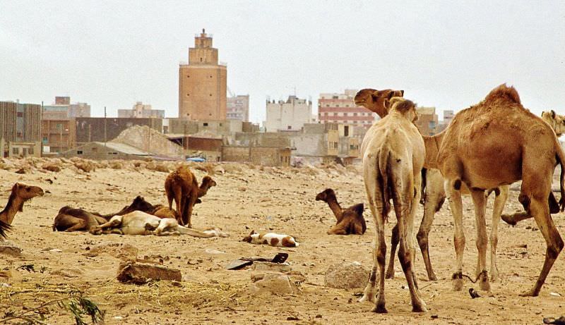 The old lighthouse in the background, Benghazi, 1970s