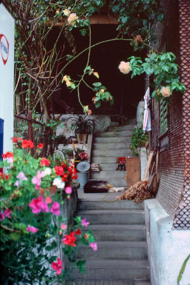 Steps between two buildings on the main road through Alpnachstad, Switzerland, 1980s