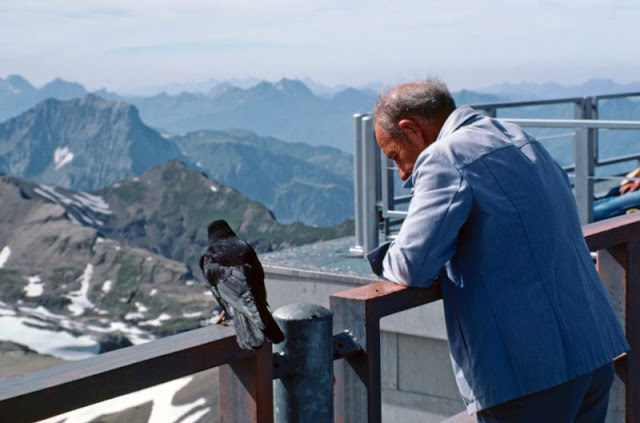 A man and a bird stare down from the Piz Gloria on the Schilthorn, Switzerland, 1980s