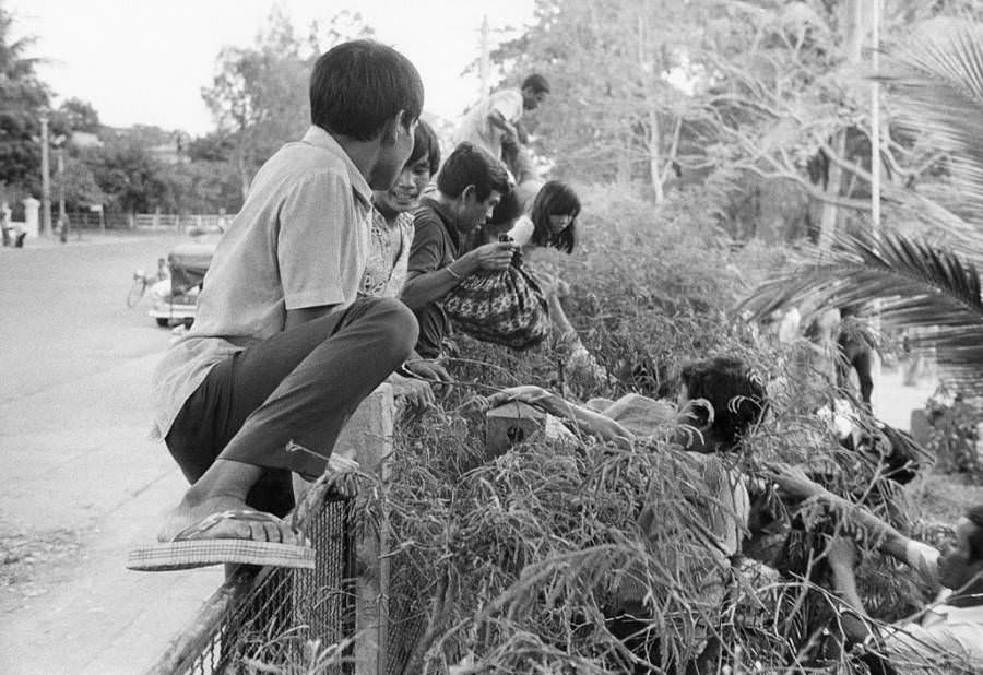 Cambodians climb over a fence, trying to escape to the French Embassy, 1975