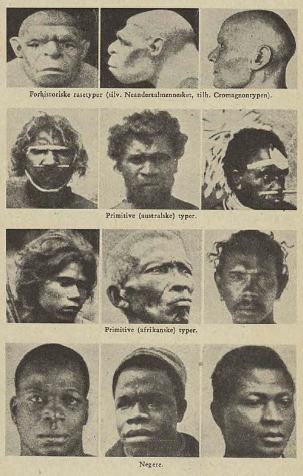 Photographs of "human races," organized to suggest a common trait shared by "primitive" Australians, Africans, and Neanderthals., 1939