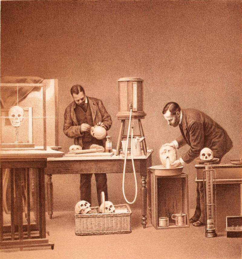 Researchers measure the capacity of a human skull by filling it with water, National Academy of Sciences, 1885.