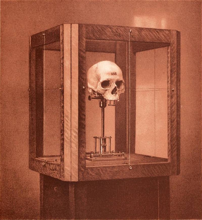 A human skull in a glass display in  National Academy of Sciences, 1885.
