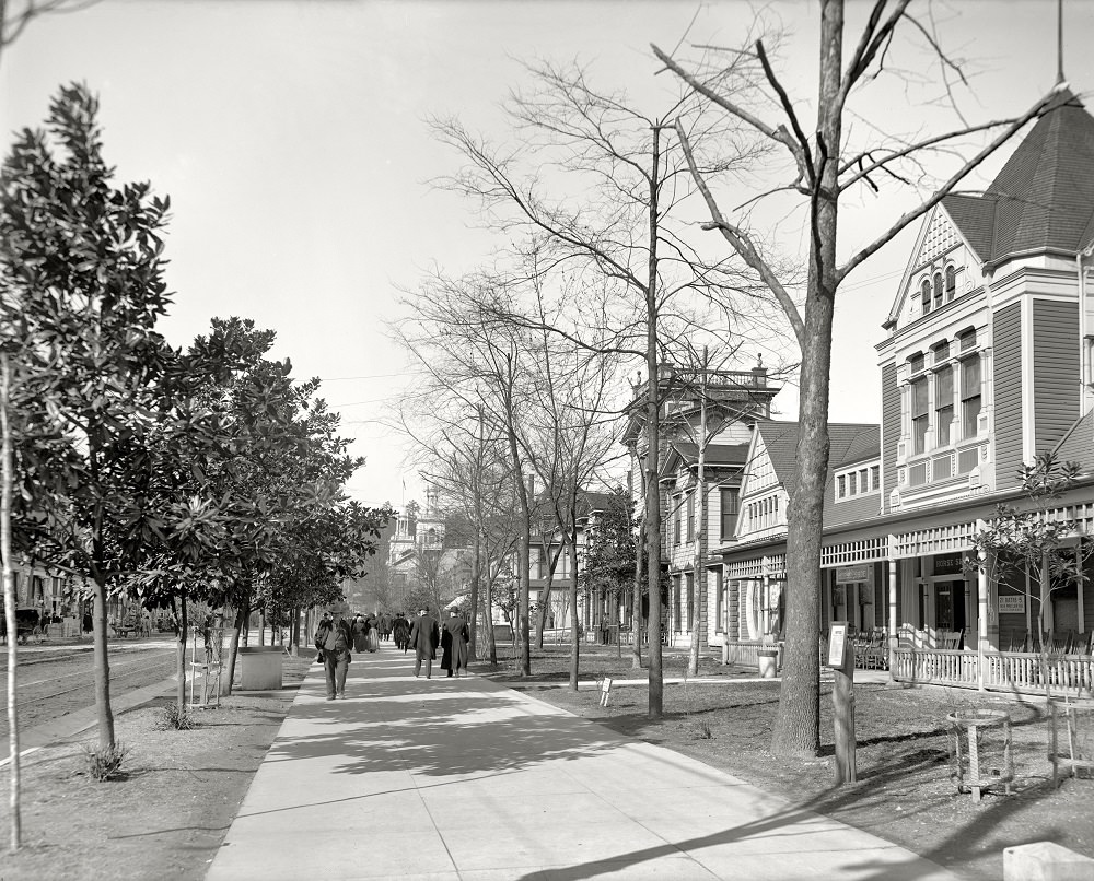 Bathhouse Row, Hot Springs, Arkansas, circa 1910 Roadway through the pines, Hot Springs, Arkansas, circa 1905