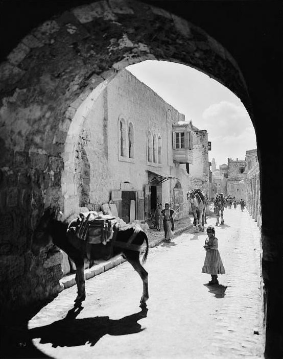 A donkey waits in the street of arches, Circa 1898-1914