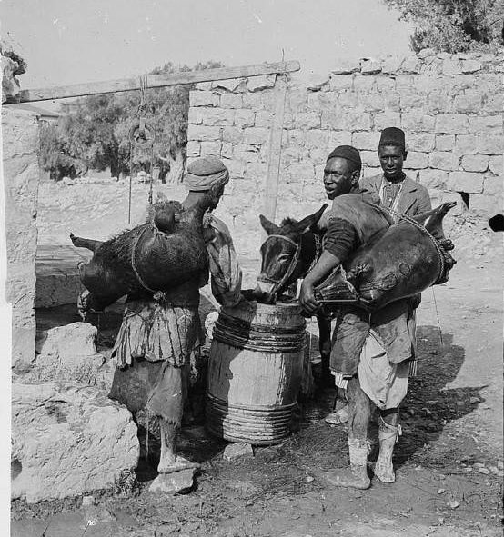 Workers carrying waterskins, Circa 1900-1920